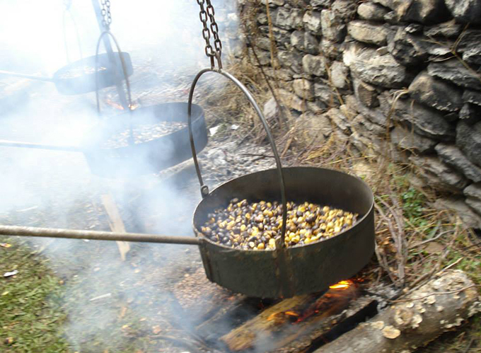 Ritorna la castagnata Coimese
