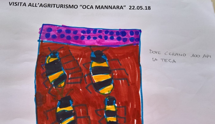 L'asilo di Pettenasco e le api, storia di una gita particolare per i bambini