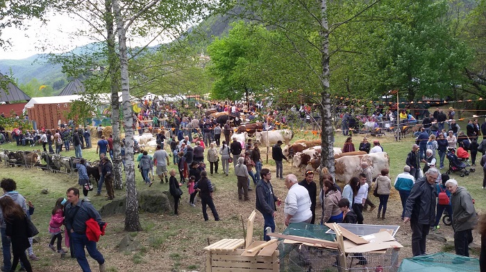 Domenica 22 aprile la 4^ edizione della fiera Agricola Zootecnica di Cireggio