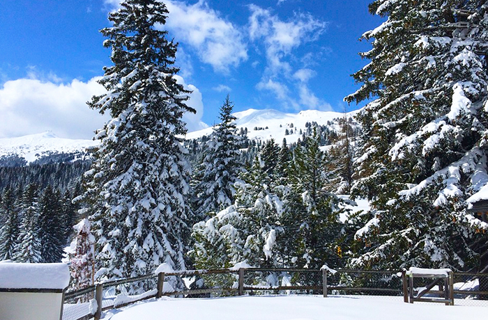 Finiti i giorni della merla, preparate la pala ed i doposci, sta arrivando l’inverno