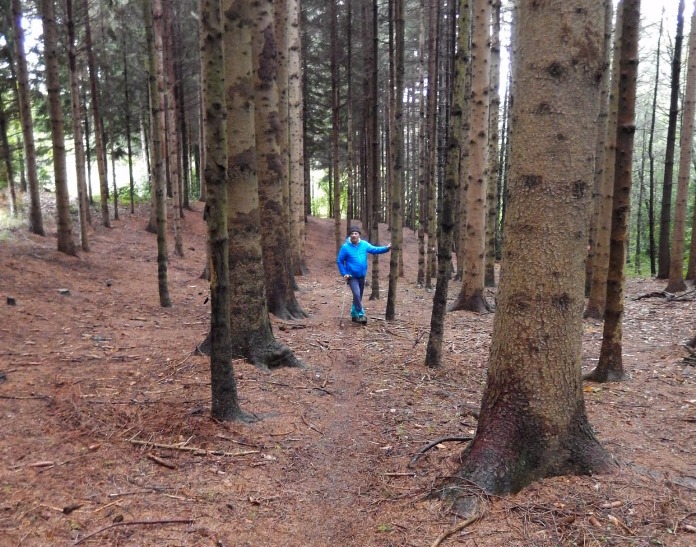 Fili d’acciaio tesi nel bosco a altezza d’uomo: biker ferito