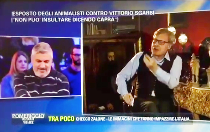 Vittorio Sgarbi pascolerà capre a Domodossola per farsi ritirare la denuncia degli animalisti. Video di “Pomeriggio cinque”
