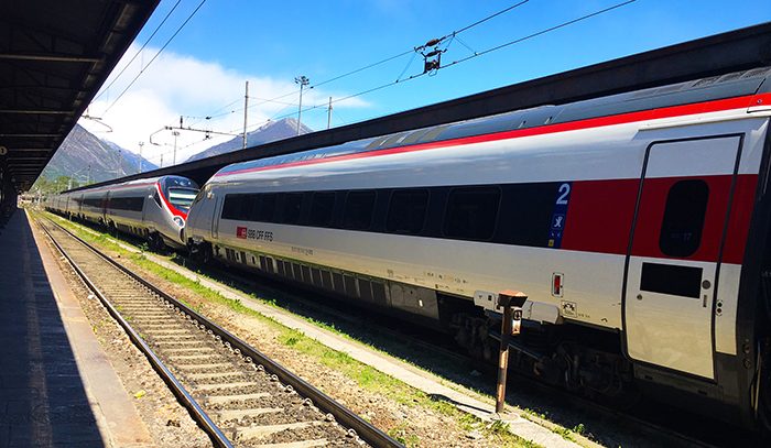 Ferrovia tra Italia e Svizzera bloccata per due ore per una pianta caduta per il vento