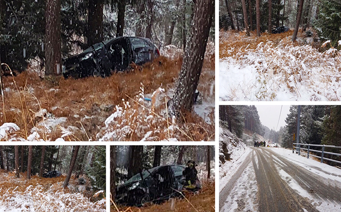 Fotogallery dell'incidente in Vigezzo, tragedia evitata grazie alle piante