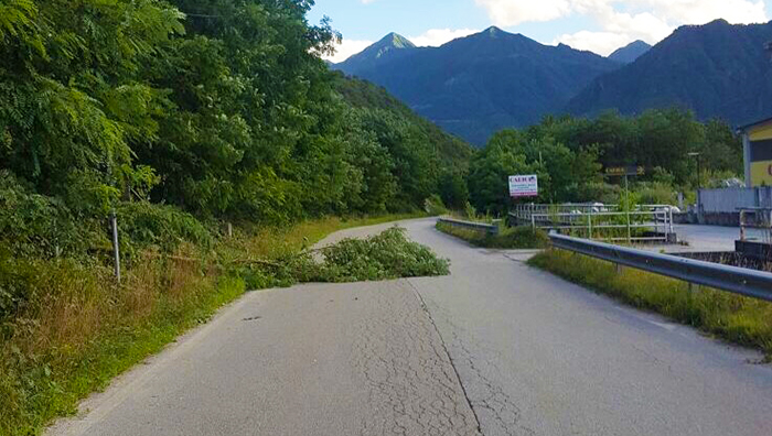  Il vento sferza l'Ossola. Pianta cade sulla strada a Beura