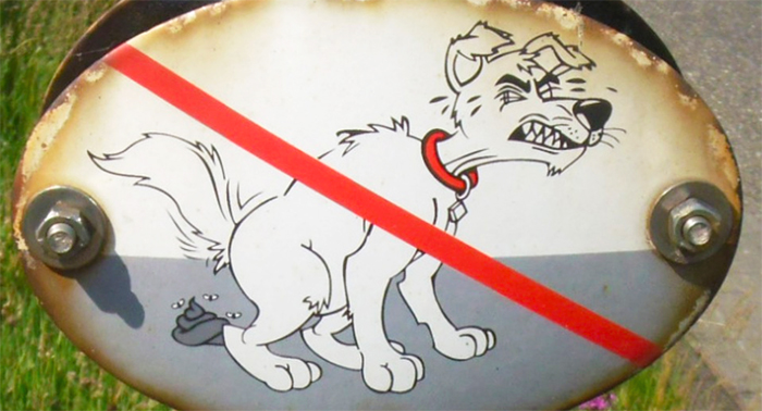 Santa Maria Maggiore contro le deiezioni canine, 300 euro di multa e campagna di sensibilizzazione