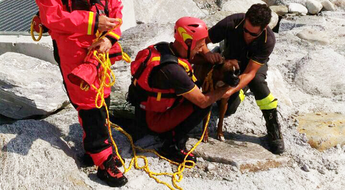 Cane intrappolato salvato dai vigili del fuoco