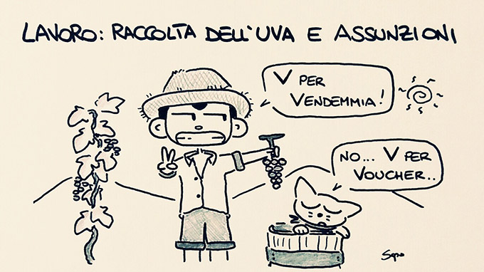 Sapo e la sua nuova vignetta