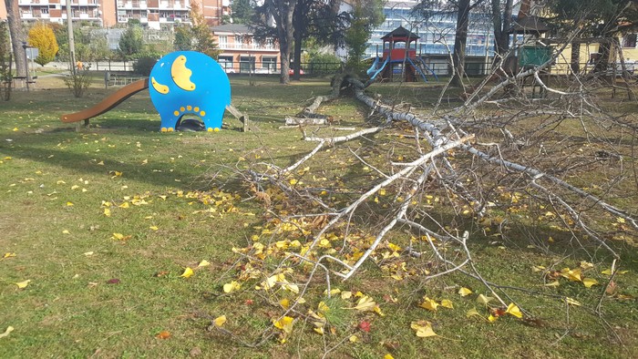 Danni da vento: oltre 40 interventi in un giorno dei vigili del fuoco (foto)