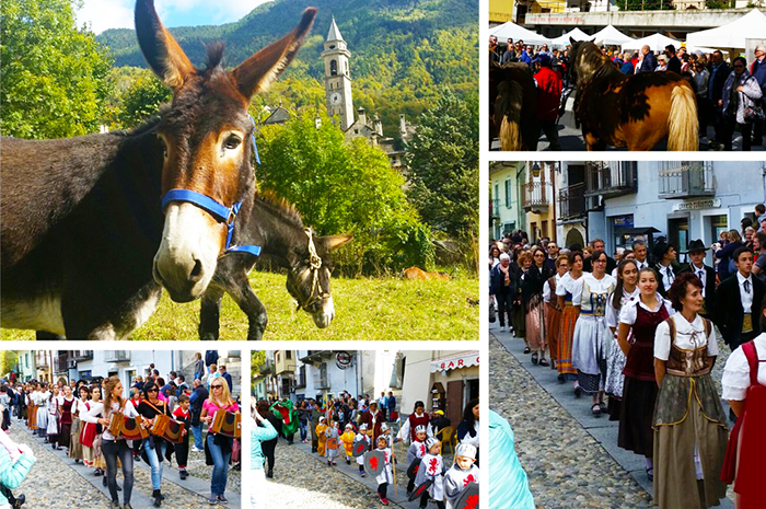A Varzo sono arrivati gli asini. E' festa con "A Scarium". Foto