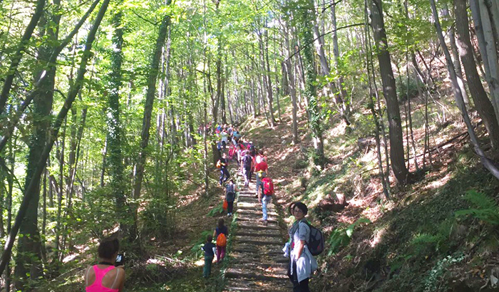  Una bella giornata di sole per la passeggiata enogastronomica tra le frazioni domesi