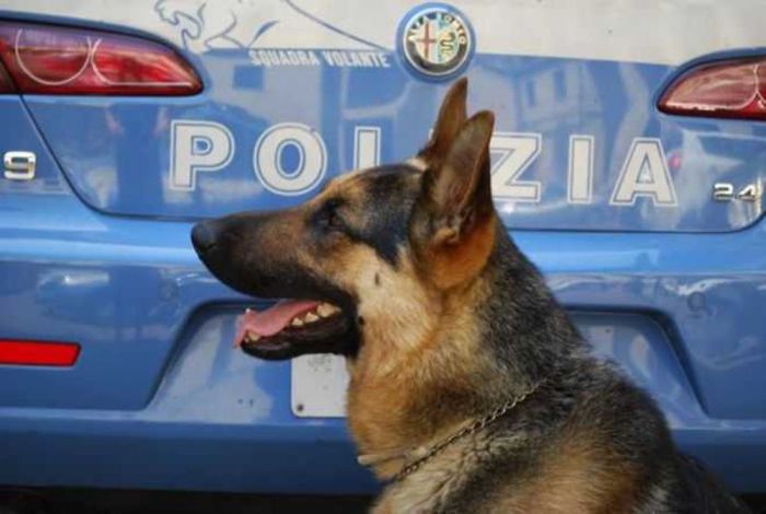Spaccio al bancone, denunciato barista