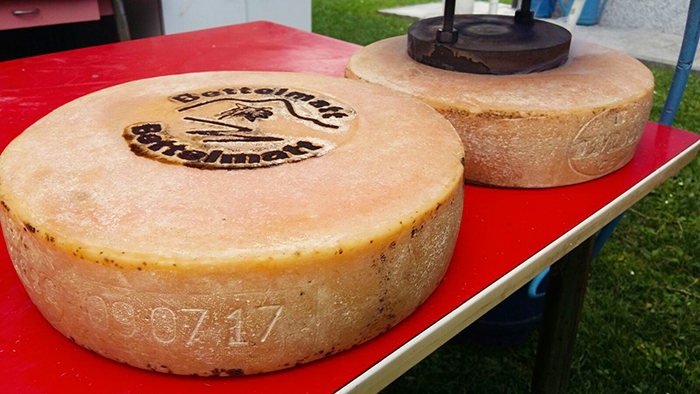 Marchiatura del Bettelmatt, sabato passerella al Cheese di Bra per la Rolls Royce dei formaggi italiani