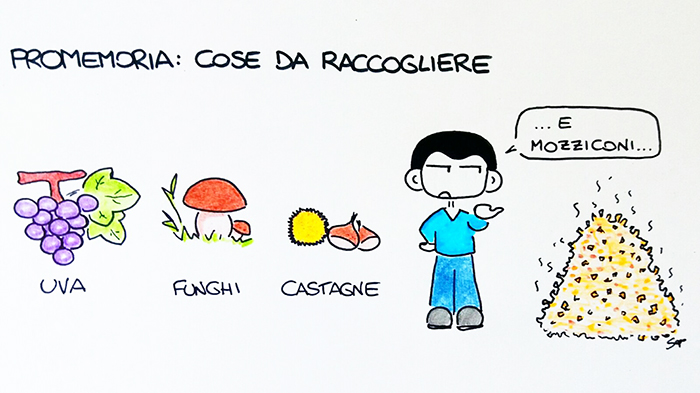 Ecco Sapo con la sua nuova vignetta 