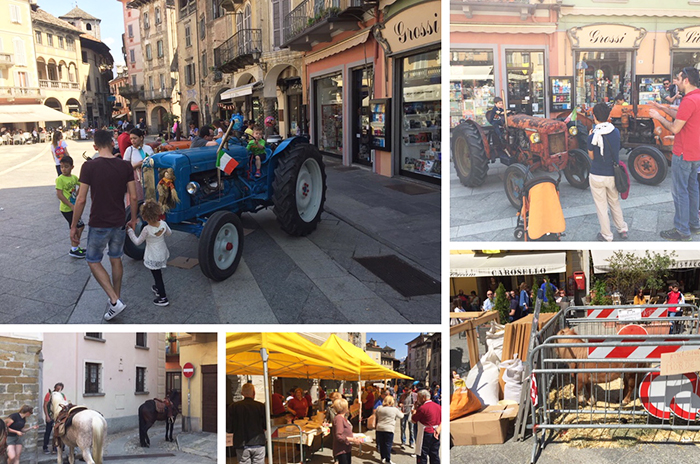  “Primavera in piazza” nel Borgo domese con animali, prodotti ed attrezzatura delle fattoria. Foto
