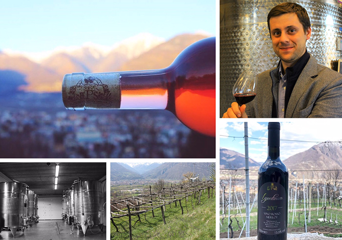 E' di Edoardo Patrone la prima azienda vitivinicola di Domo per i “Vini eroici”