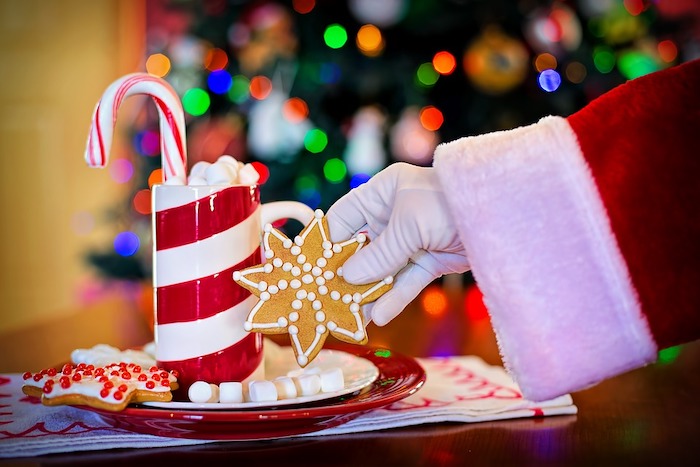 Villa: arriva il Natale, anziani in festa