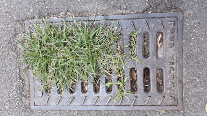 Verbania: l'assedio delle erbacce e la manutenzione quasi azzerata