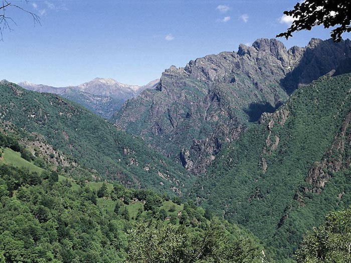 Dal Ticino alla Val Grande: la nuova riserva Mab - Unesco tra Piemonte e Lombardia