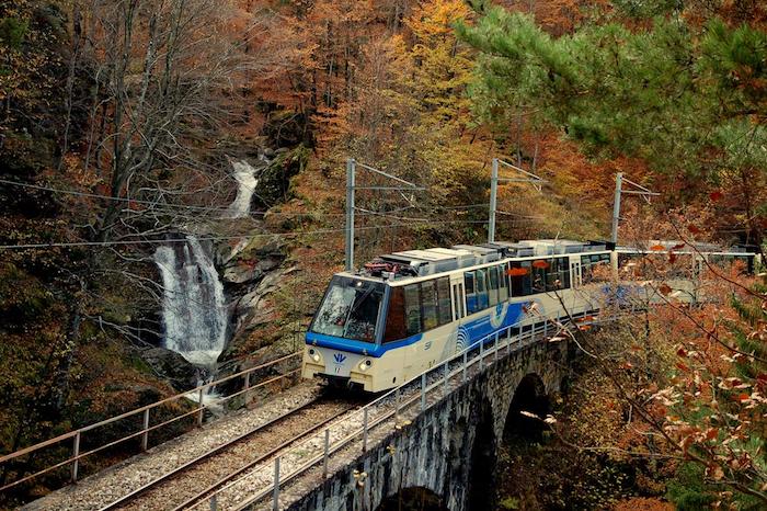 Inarrestabile successo del treno del foliage, protagonista anche a I Soliti Ignoti