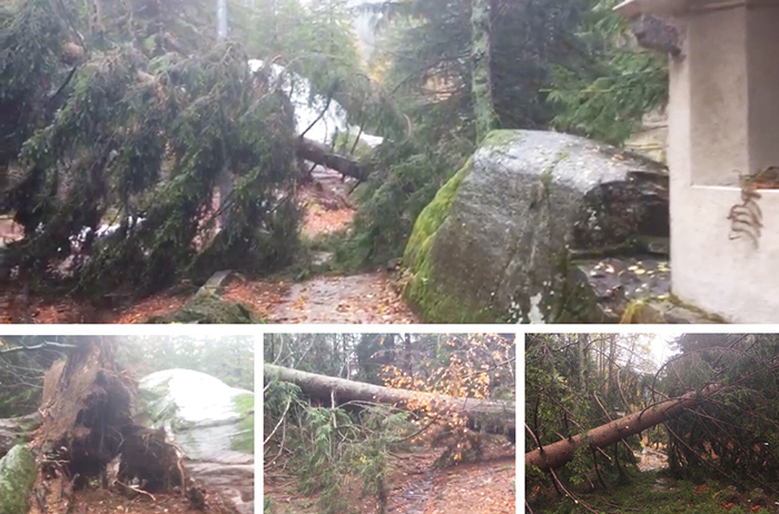Due alberi caduti sulla strada per la frazione Antillone di Formazza. Video