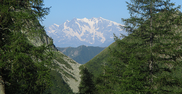 Importante manutenzione sui alcuni sentieri della Val Vigezzo e del Parco Nazionale Val Grande