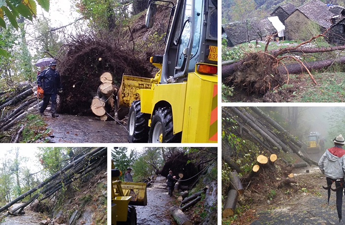 Decine di alberi caduti sulla rete elettrica e sulle strade in una frazione di Montescheno. Foto