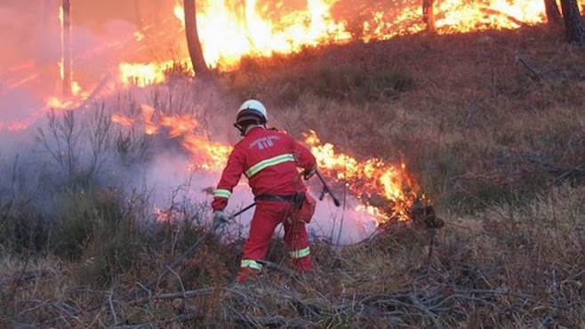 Gli Aib tornano ad avere un ruolo chiave nel coordinamenti degli incendi