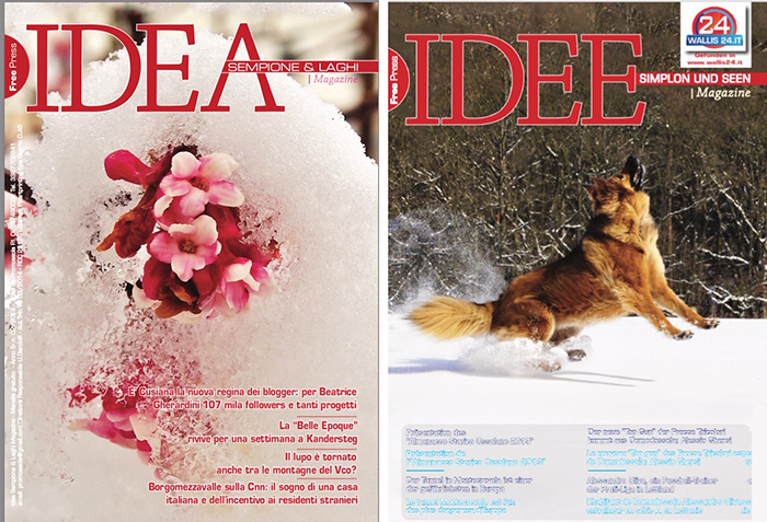 Ecco il numero di febbraio di IDEA, il nostro magazine freepress in tre lingue