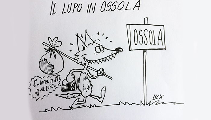 Il lupo ritornato in Ossola nella vignetta di Carlo Lux 