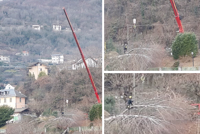 Lavori alla Noga per le piante cadute per la tromba d'aria dello scorso autunno