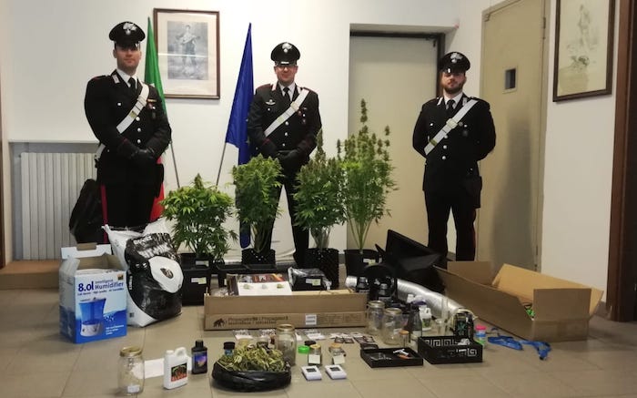 Arresto per droga a Crevoladossola, grazie ad un gatto