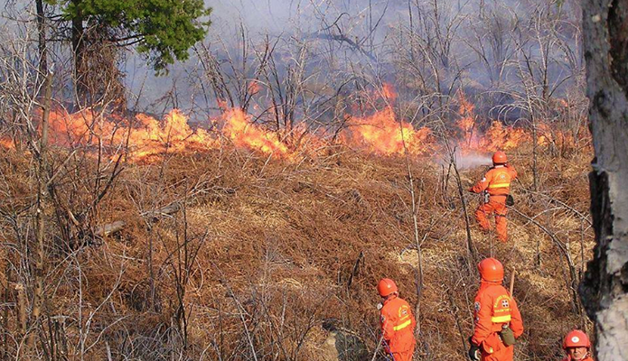 C'è un piromane in Vigezzo: è doloso l'incendio scoppiato a Toceno