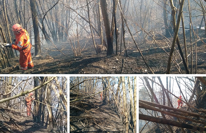 Gli Aib del Vco in Valsesia per domare l'incendio che sta devastando i boschi. Video
