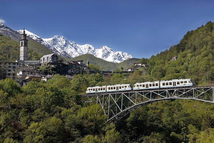 In Vigezzina per ammirare "Camelie a Locarno", il festival fiorito della Svizzera 