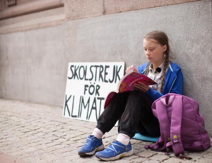 Domo risponde all'invito di Greta Thunberg: venerdì studenti da tutto il VCO in piazza per il futuro