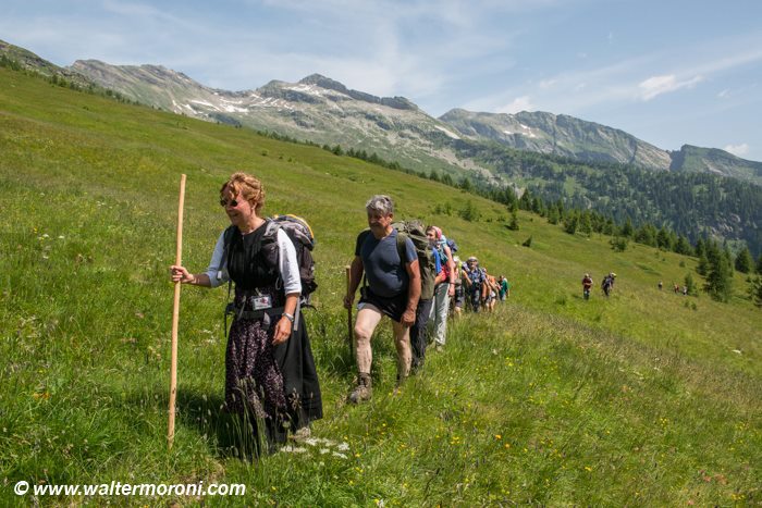 A piedi lungo la via del riso: cinque percorsi sui sentieri degli spalloni 