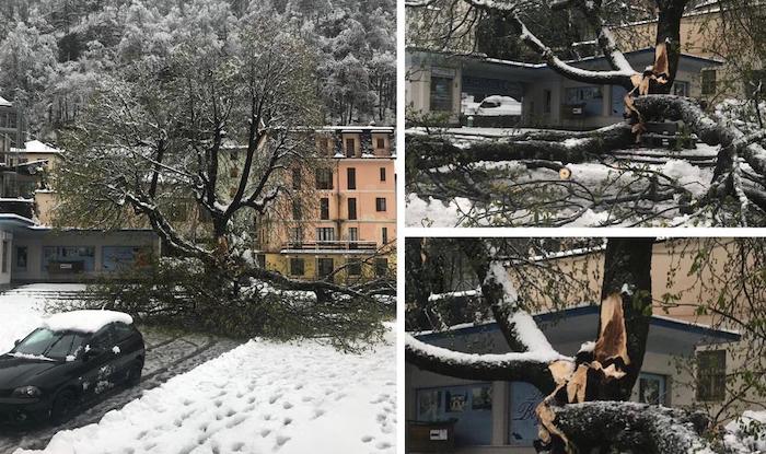 Bognanco: danneggiato l'ultracentenario ippocastano della piazza. Disagi in valle per il maltempo