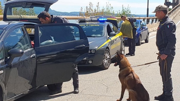 Marijuana fai-da-tè da Milano al Verbano, imprenditore scoperto dal cane antidroga