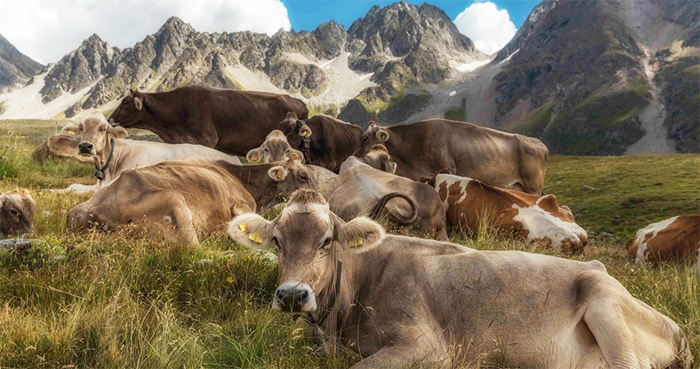 Siete annoiati e non sapete cosa fare? Ecco tutti gli eventi del weekend su visitvco.it