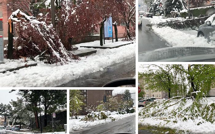Erano 15 anni che a Domo non nevicava ad Aprile, il record nel 1910 con 70 cm. Ecco tutti i dati dal 1872