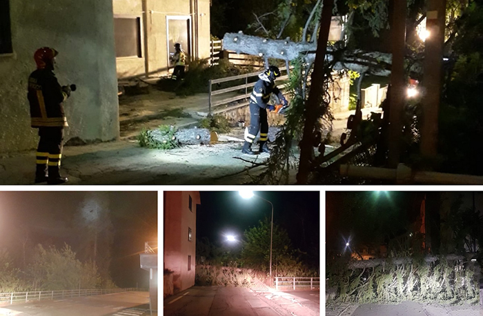 Crolla una pianta in centro paese a Bognanco per il forte vento. Nessun ferito