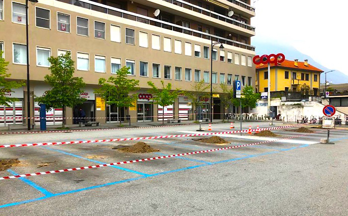 Nuove piante nel posteggio di piazza Matteotti ed in via Garibaldi