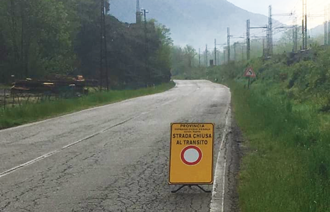 Pianta pericolosamente in bilico su strada e cavi elettrici
