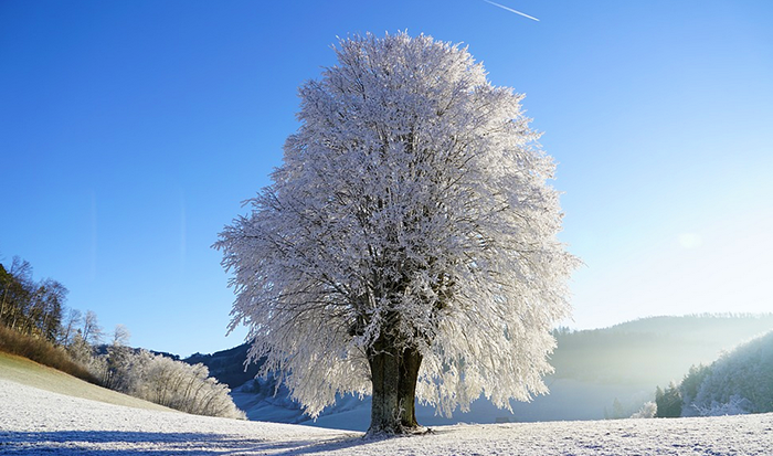 Tramontana e freddo sino a sabato, e di neve neanche l’ombra
