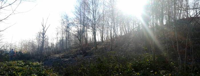 Incendio doloso a Brovello: in fiamme un ettaro di bosco - Foto