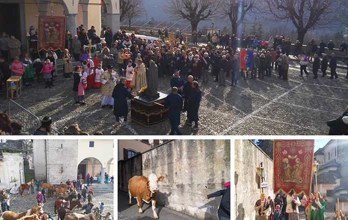  La benedizione degli animali a Toceno per la patronale di S.Antonio Abate. Foto e video