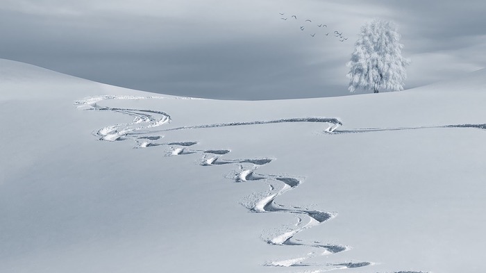Arriva la neve, da sabato potrebbe essere il momento giusto
