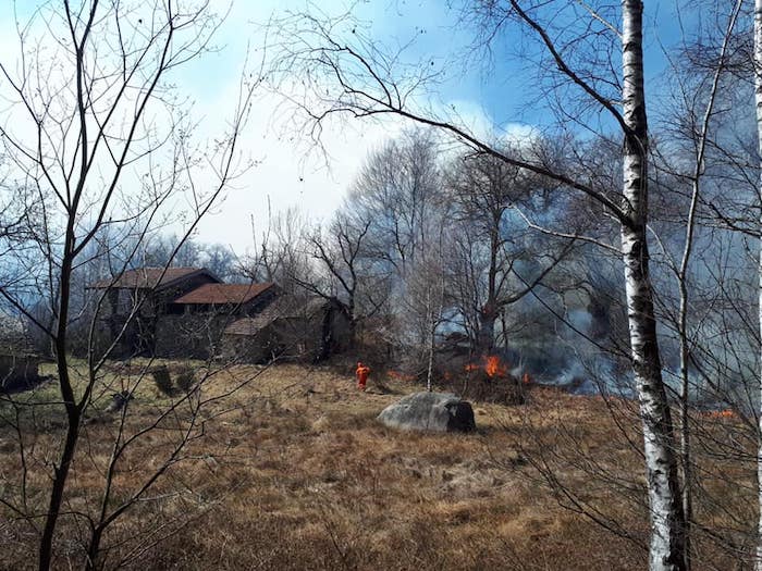 Domato l'incendio boschivo nel Vergante, si lavora ancora sul fronte cusiano
