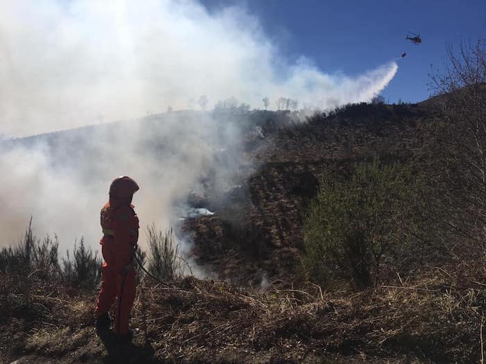 Incendio tra Gignese e Brovello: sei gli ettari di bosco distrutti, continua lo spegnimento 